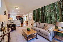 Zelený les - fototapeta FX3725