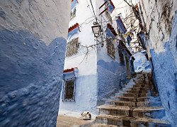 Maroko ulička - fototapeta FX3745