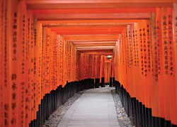 Svätyňa Kyoto fototapeta FX3771