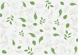 Zelené lístky - fototapeta FX3821