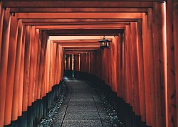 Drevený Tunel  fototapeta FX4593