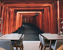 Drevený Tunel  fototapeta FX4593