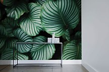 Kalatea - fototapeta FX5292