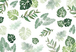 Fototapeta s exotickými listami FXL3820