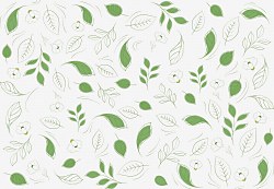 Zelené lístky - fototapeta FXL3821
