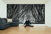 Cesta cez les fototapeta FXL4199