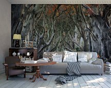 Lesná ulička - fototapeta FXL4546