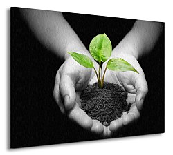 Kvet v dlaniach - Obraz CS0537