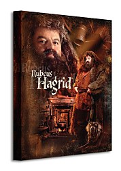 Harry Potter (Hagrid) - Obraz  WDC92244