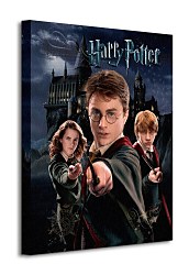 Harry Potter (Harry Ron Hermione) - Obraz  WDC94234