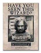 Harry Potter (Wanted Sirius Black) - Obraz WDC99435