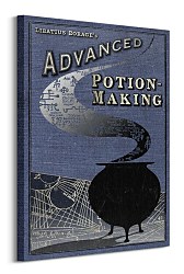 Harry Potter (Potion Making) - Obraz  WDC99367