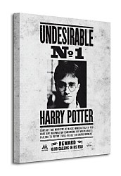 Harry Potter (Undesirable No.1) - Obraz WDC94233