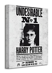 Harry Potter (Undesirable No.1) - Obraz WDC92235