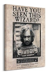 Harry Potter (Wanted Sirius Black) - Obraz WDC99435
