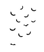 Helloweenska šablóna na maľovanie Netopiere