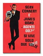 James Bond (Si Vive Solo Due Volte) - Obraz WDC99466