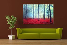 Obraz Farby jesene 29326