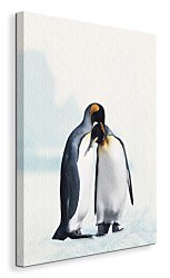 King Penguin - Obraz WDC20725