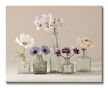 Flower Collection II - Obraz WDC94466