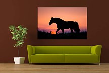 Obraz Silueta Koňa 29325