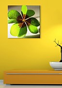 Štvorlístok - Obraz CKS0062