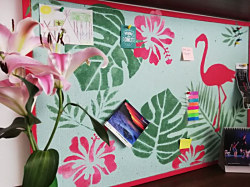 Korková nástenka v letnom outfite