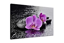 Krásny obraz Orchidea zs29331