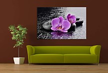 Krásny obraz Orchidea zs29331