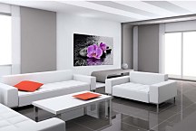 Krásny obraz Orchidea zs29331