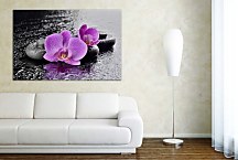 Krásny obraz Orchidea zs29331