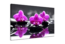 Kvetinový obraz s orchideou zs29166