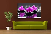 Kvetinový obraz s orchideou zs29166