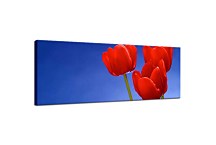 Obrazy Kvetov panorámy zs18495