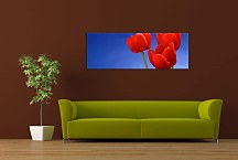 Obrazy Kvetov panorámy zs18495