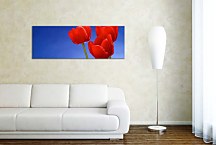 Obrazy Kvetov panorámy zs18495