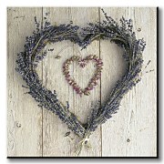 La Lavende - Obraz WDC22675