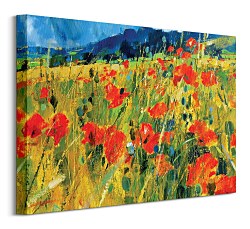 South Downs Poppies - Obraz WDC94476