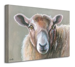 Looking Sheepish - Obraz WDC94258