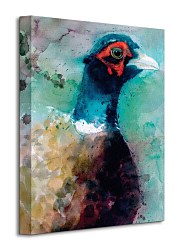 Male Pheasant - Obraz WDC92311