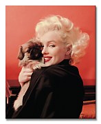 Marilyn Monroe (Love) - Obraz WDC94458