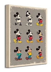 Mickey Mouse (Evolution) - Obraz WDC92455