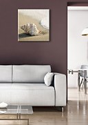 Mušľa na pláži - Obraz CKS0248