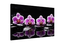 Obraz Orchidea s kameňmi zs29087