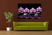 Obraz Orchidea s kameňmi zs29087