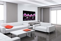 Obraz Orchidea s kameňmi zs29087