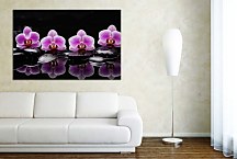 Obraz Orchidea s kameňmi zs29087