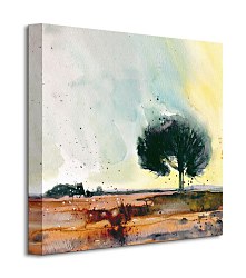 New Forest Study - Obraz WDC95219