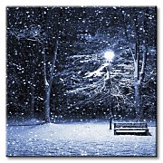 Obraz Night shot CKS0551