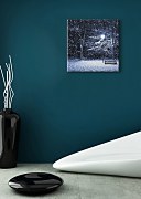 Obraz Night shot CKS0551